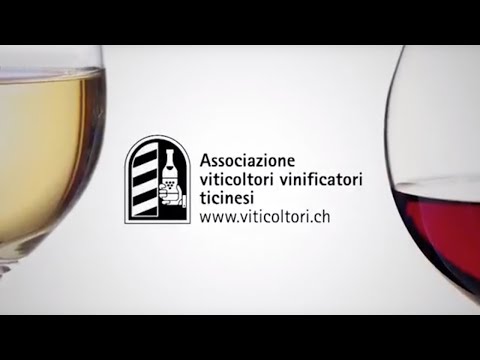 15 - Lisetta Lucchini