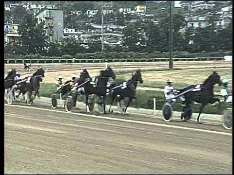 Trotto 14/06/2015 - 8° corsa - TRIS