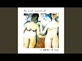 Theme From Walking Home