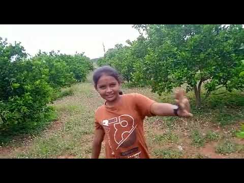 bhavitha creatures in telugu #funnyvideo  #nature