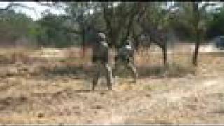 ANCOC RED WHITE &amp; BLUE