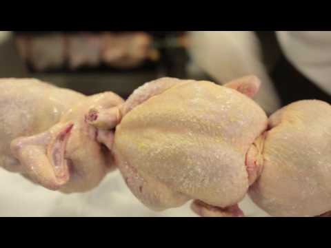 Video del producto