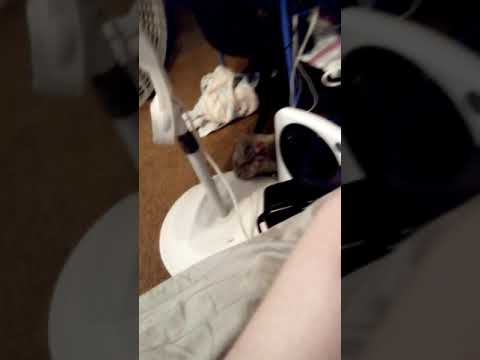 2021 TORNADO DRILL. setting off the BIG SIREN