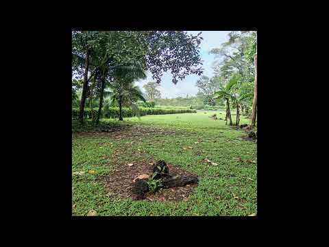 Imagen de Venta de Lotes y Terrenos en San carlos - San carlos San Carlos - ALAJUELA