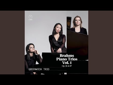 Piano Trio No. 2 in C Major, Op. 87: I. Allegro