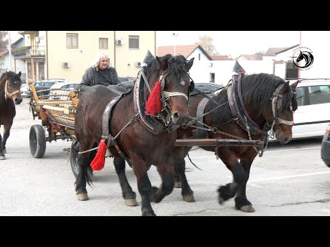 - KONJI SU ME PODMLADILI I OSJEĆAM SE KAO MOMAK U DVADESETIMA -