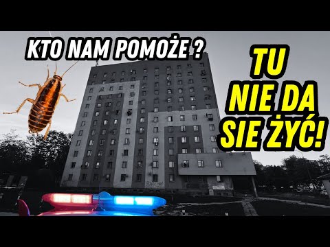 Wspólna Wyprawa and 2 more