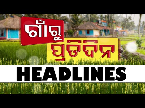 7:30PM Headlines | 4th February 2025 | Odisha TV | OTV
