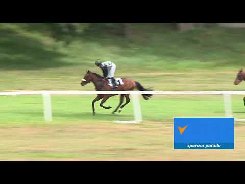 Dostihy Karlovy Vary 23. 7. 2023 - 2. dostih - Cena společnosti Tipsport 1. odd.