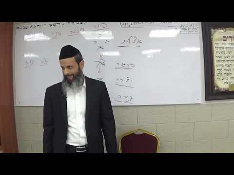אוצרות חיים - שיעור 17