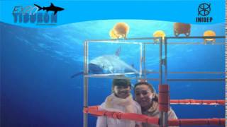 DIA 2 Expo Tiburon69