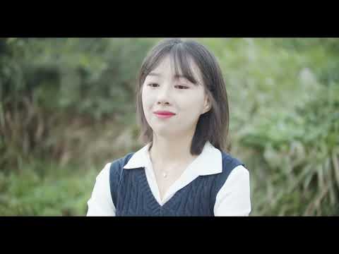 비디오 13