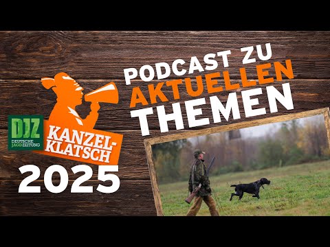 DJZ pulpit gossip - Examination proceedings