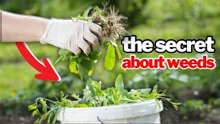 Do YOU Really Need to Weed Your Garden?