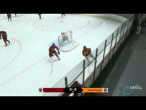 Week 1 - Team Orange VS Team Red