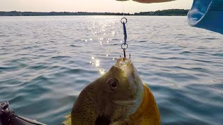 Fishing for a Bluegill Dinner on this GIANT Lake!