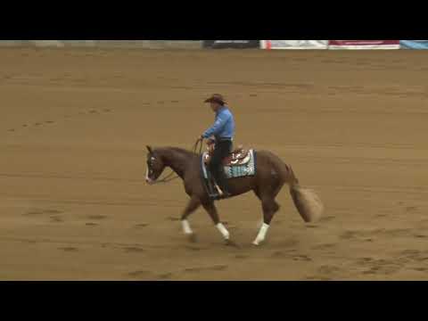 201004 Open Futurity Andrea Fappani on All Bettss Are Off