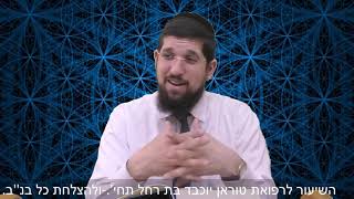 הרב אליהו עמר זרע שמשון לפרשת ויקרא