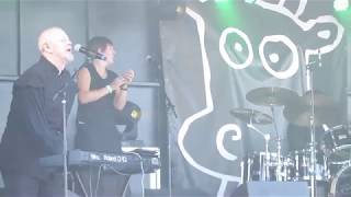 SHAKING the TREE perform the music of PETER GABRIEL @ Folestival 2018