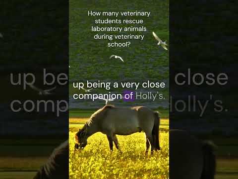 Did you rescue an animal from a vet school or research program?