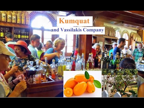 Kumquat Fruits & Vassilakis Company (Corfu, Greece)