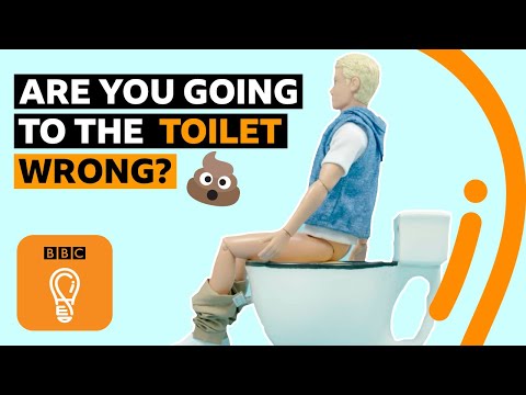 為什麼你（很可能）上錯了廁所｜第二集｜BBC Ideas (Why you're (probably) going to the toilet wrong | Episode 2 | BBC Ideas)