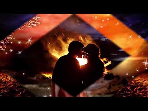 ZVONAREVIC KATARINA  -  IZGUBLJENA LJUBAV