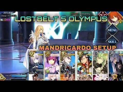 [FGO NA] Lostbelt 5 Olympus: Kirschtaria - Mandricardo Setup