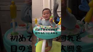 #日韓ベビー #赤ちゃんのいる生活 #9か月赤ちゃん #犬と仲良し #カナダ暮らし