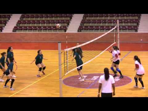 Interuniversitario 2011 - Voleybol