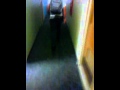 Tight Ass Jeans At NIU