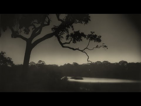 Alonso Lobo. Lamentationes Ieremiae Prophetae - Bruno Turner