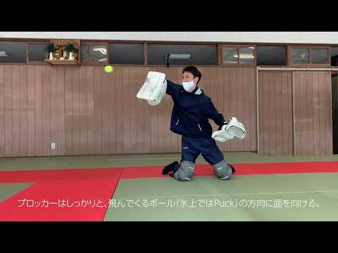 初心者向けゴーリーオフアイストレーニング動画
