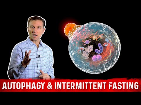 The 7 Powerful Ways to Increase Autophagy