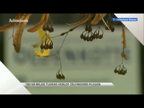 GLD Nieuws 5 december 2012 - Nieuws