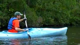 preview picture of video 'Kayaking the Pocomoke (4)'