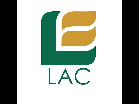 Reported speech: auxiliaries