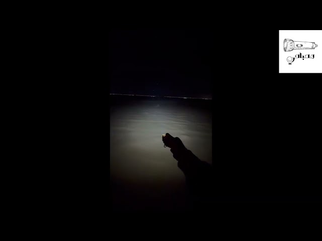 كشاف TINI 2 من NITECORE