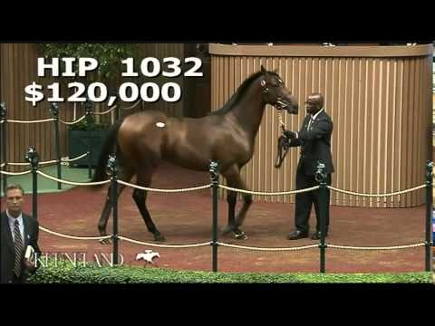 Hip 1032, Wicked Strong - 2012 September Yearling Sale
