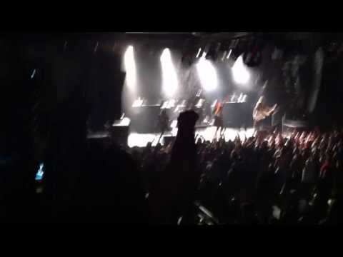 primal concrete sledge