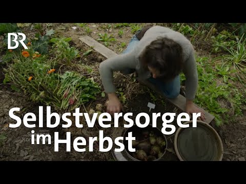 Selbstversorger: Lucia Hiemer und der Herbst | Zwischen Spessart und Karwendel | BR