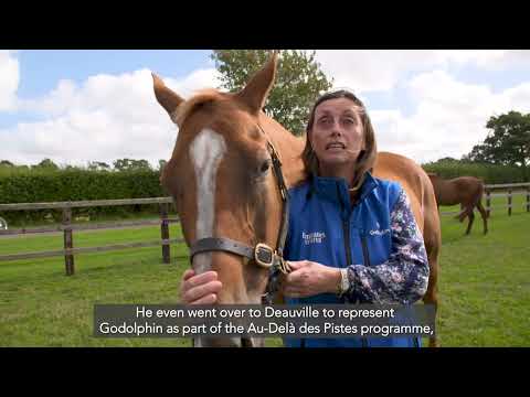 The Godolphin Lifetime Care Programme