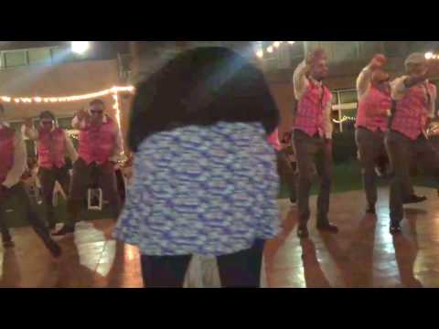Mark and Laila's - Surpise Wedding Dance!