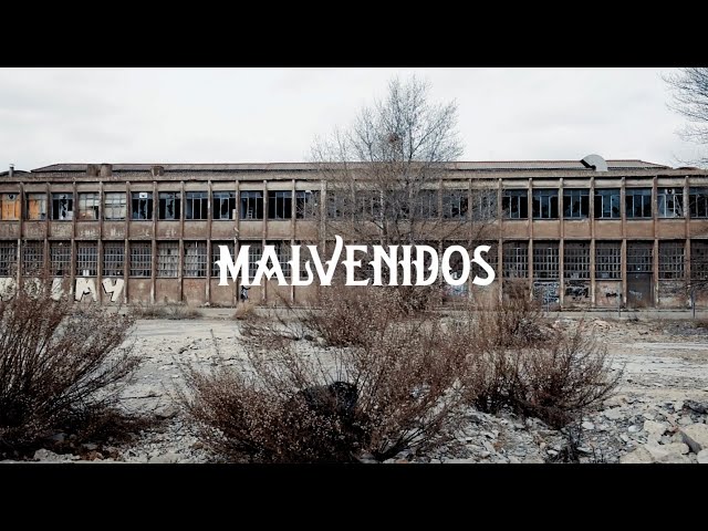 Malvenidos (Videoclip Oficial) The Kleejoss Band