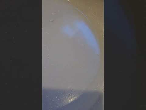 Caraway - Im very sad i have only had my set for about 3 months and they do not... - Image 3