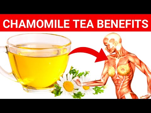 Chamomile Tea Benefits : 7 Health Benefits Of Drinking Chamomile Tea | Chamomile Tea