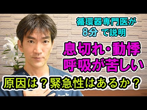 昆虫も恐怖で動悸を起こすのでしょうか?