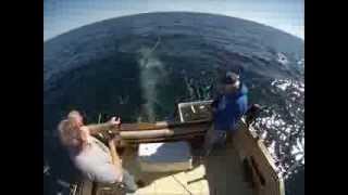 preview picture of video 'Kewaunee Fishing Charters WI Lake Michigan - Slam Dunk Sportfishing Charter LLC'