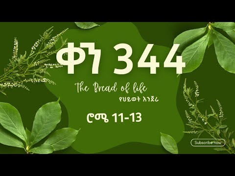 Day 344 The bread of Life  Bible Reading Project