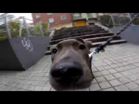 ADRIAN KOSLOV - 10.000 (10K HBOSS RMX)